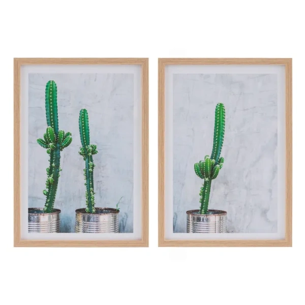 Cuadro impresión Cactus surtido
