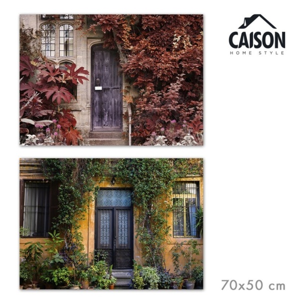 Lienzo puerta planta 50*70